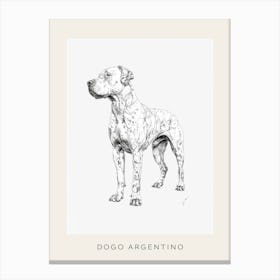 Dogo Argentino Dog Line Sketch 2 Poster Canvas Print