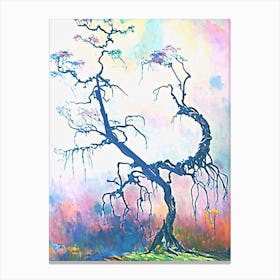 Bonsai Tree Canvas Print