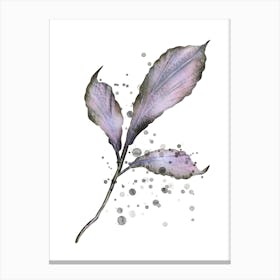 Trio in Harmony - Minimalistic Watercolor Botanical Canvas Print