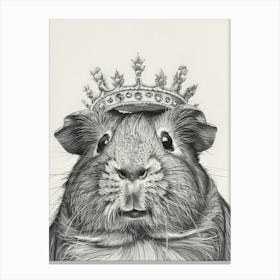 Guinea Pig 8 Canvas Print