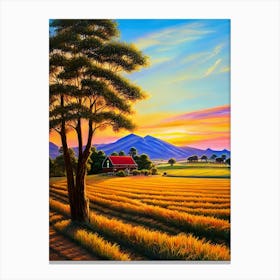 Sunset In The Field 3 Canvas Print