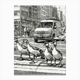 Ducks Crossing The Street Canvas Print