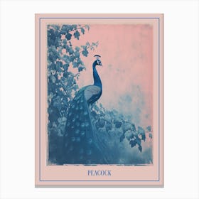 Blue & Pink Peacock Portrait 1 Poster Canvas Print