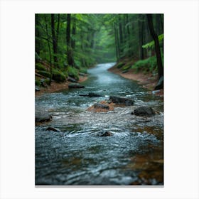 Stream In The Woods Canvas Print