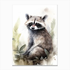 A Honduran Raccoon Watercolour Illustration Storybook 3 Canvas Print