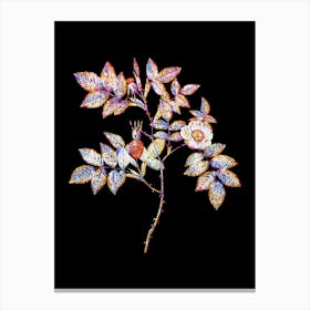 Stained Glass Mountain Rose Bloom Mosaic Botanical Illustration on Black n.0300 Canvas Print