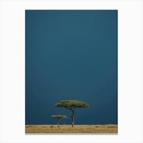 Acacia Tree Before the Storm in Masai Mara Kenya Canvas Print