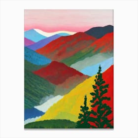 Great Smoky Mountains National Park United States Of America Abstract Colourful Canvas Print
