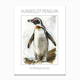 Humboldt Penguin Petermann Island Watercolour Painting 1 Poster Canvas Print