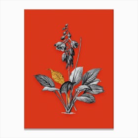 Vintage Daylily Black and White Gold Leaf Floral Art on Tomato Red Canvas Print