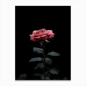 Dark Rose 136 Canvas Print