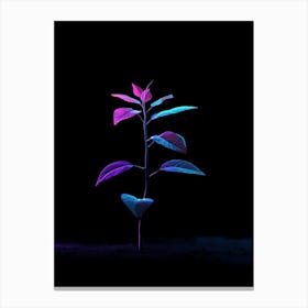 Plant On A Black Background 4 Canvas Print