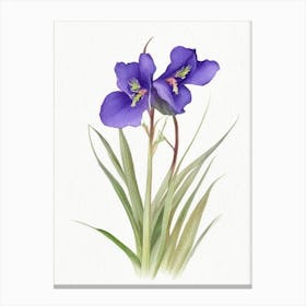 Spiderwort Wildflower Watercolour Canvas Print