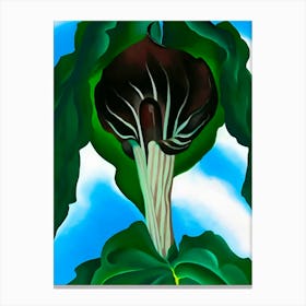Georgia O'Keeffe - Jack-in-the-Pulpit No. 3 Canvas Print