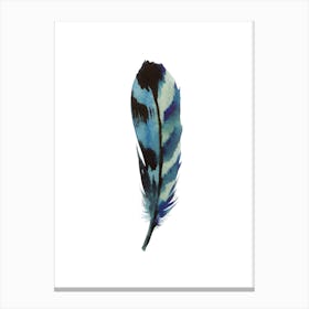 Feather Set 01 Canvas Print