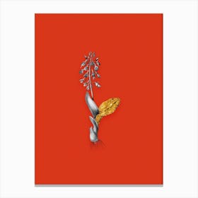 Vintage Brown Widelip Orchid Black and White Gold Leaf Floral Art on Tomato Red n.0053 Canvas Print