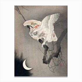 Scops Owl In Moonlight, Ohara Koson Canvas Print