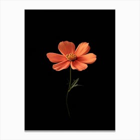 Cosmos 1 Canvas Print