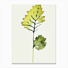 Wild Mustard Leaf Minimalist Watercolour 1 Canvas Print