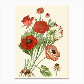 Red Poppies Canvas Print