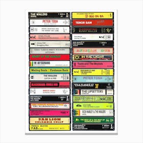 Reggae Music - Cassette Print Canvas Print