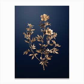 Gold Botanical Yellow Buttercup Flowers on Midnight Navy n.1123 Canvas Print