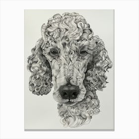 Poodle Dog Wavy Lines 1 Canvas Print