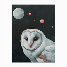 Barn Owl 7 Canvas Print