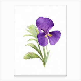 Marsh Violet Wildflower Watercolour Canvas Print
