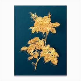 Vintage White Rose Botanical in Gold on Teal Blue n.0290 Canvas Print