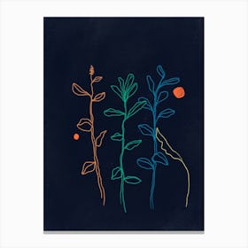 Night Plants Canvas Print
