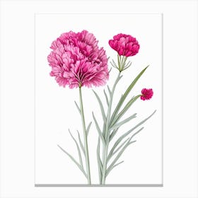 Carnation Floral Quentin Blake Inspired Illustration 1 Flower Canvas Print