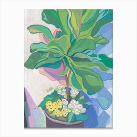 Fiddle Leaf Fy Canvas Print