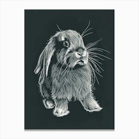 Mini Lop Rabbit Minimalist Illustration 2 Canvas Print