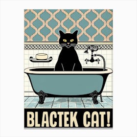 Black Cat 11 Canvas Print