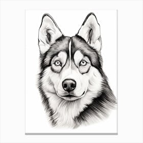 Siberian Husky Dog, Line Drawing 3 Canvas Print