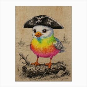 Pirate Bird 5 Canvas Print