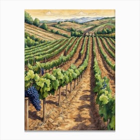 Vineyard Field Canvas Print