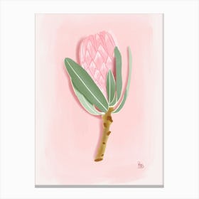 Protea Flower Gouache Digital Canvas Print