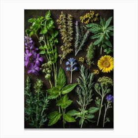 Herbs On A Dark Background Canvas Print