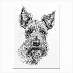 Scottish Terrier Dog Line Sketch 4 Canvas Print