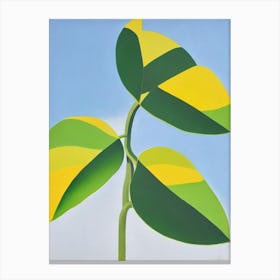 Burle Marx Philodendron Bold Graphic Plant Canvas Print