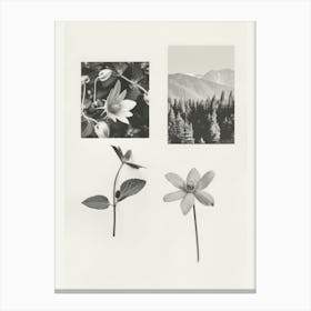 Columbine Flower Photo Collage 4 Canvas Print