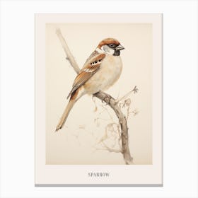 Vintage Bird Drawing Sparrow 3 Poster Canvas Print