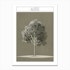 Ash Tree Minimalistic Drawing 4 Poster Canvas Print