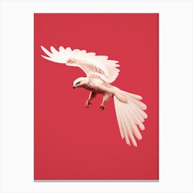 Minimalist Falcon 2 Illustration Canvas Print