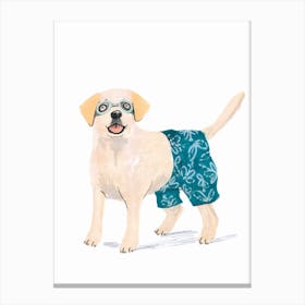 Dog In Swim Trunks Canvas Print