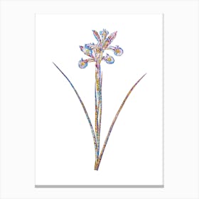 Stained Glass Spanish Iris Mosaic Botanical Illustration on White n.0278 Canvas Print