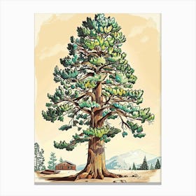 Sequoia Tree Storybook Illustration 2 Canvas Print