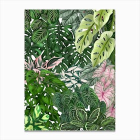 House Plants Jungle Canvas Print